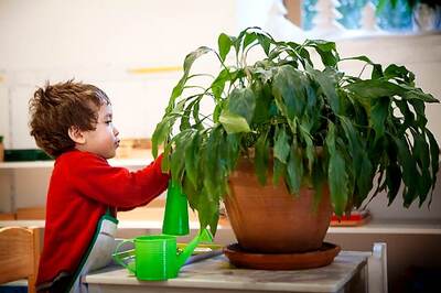 Gardening Helps Grow Positive Body Image too