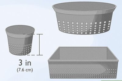 How to Grow Watercress in a Pond