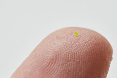 This Louis Vuitton Handbag Is So Tiny That It Needs A Microscope To Admire