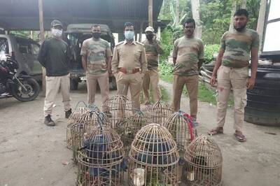 Poaching Cases Surge in Assam Amid Lockdown, Forest Officials Rescue 13 Purple Moorhens Caught for Trade