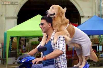 There are more dog lovers out there than there are action freaks: Akshay Kumar