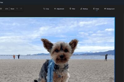 Microsoft's 'Generative Ease' AI For Windows Quickly Removes Unwanted Objects From Photos