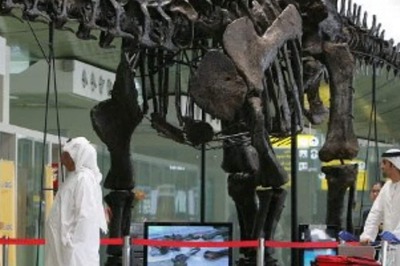 UAE Bans All Drones for a Month After Yemeni Huthi Attack