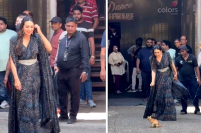 Watch: Karisma Kapoor's Sweet Encounter With Kitten Is Winning Hearts