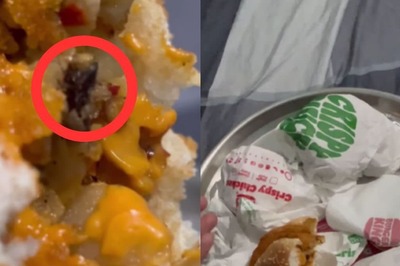 'No One to Trust': Mumbai Woman Finds Dead Insect in Burger King Order, Vents Disappointment Online