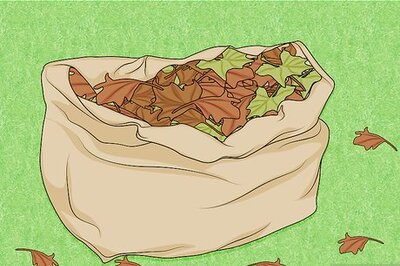 How to Pick the Right Mulch