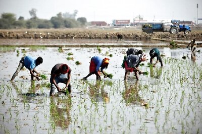 Govt Extends Crop Loan Repayment Date Till August 31, Prompt Re-payers to Benefit