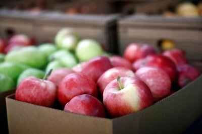 Boost for Kashmiri Apples, 200 tonnes Exported to Middle East