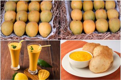 National Mango Day 2021: Meet Alphonso, the King of Mangoes; Check Photos