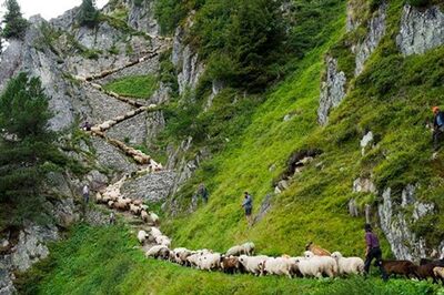 Swiss most competitive nation, India 59th: WEF