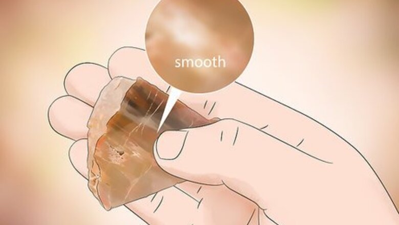How to Identify Petrified Wood