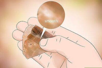 How to Identify Petrified Wood