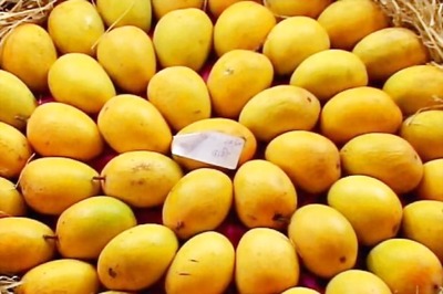 Bihar: 10-year-old killed for plucking mangoes