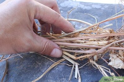 How to Make a Bird Nest