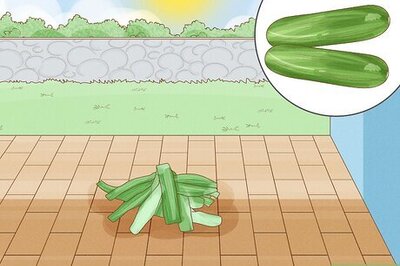 How to Keep Bees Away