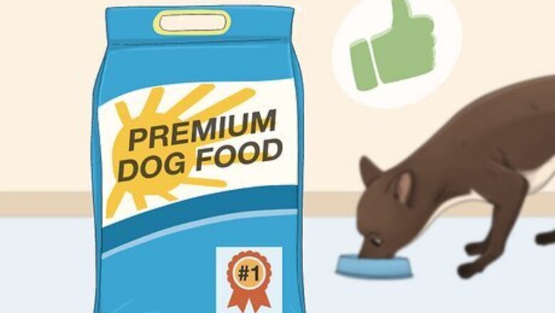 How to Care for Dogs