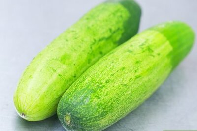 How to Can Dill Pickles