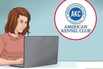 How to Check Breed Standards Before Breeding Dogs