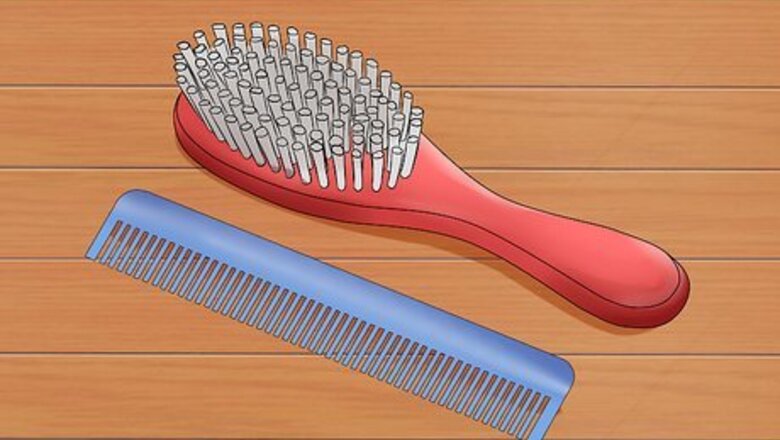 How to Groom a Maine Coon Cat
