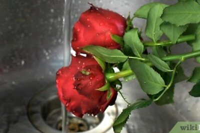 How to Make Rose Petal Perfume