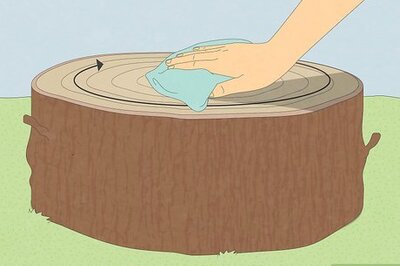 How to Preserve a Tree Stump