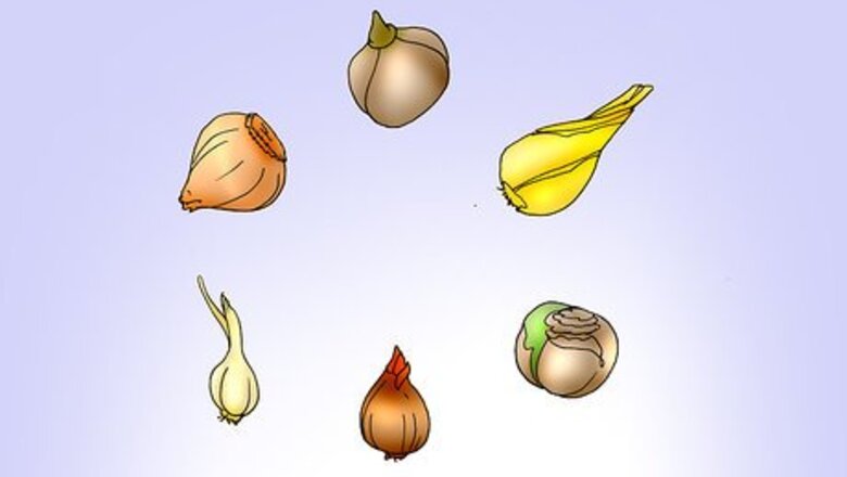 How to Save and Replant Forced Seasonal Bulbs