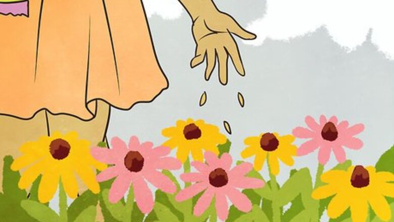 How to Help Save Honey Bees