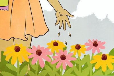 How to Help Save Honey Bees