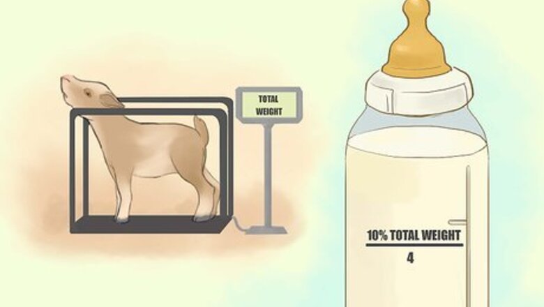 How to Bottlefeed Goat Kids