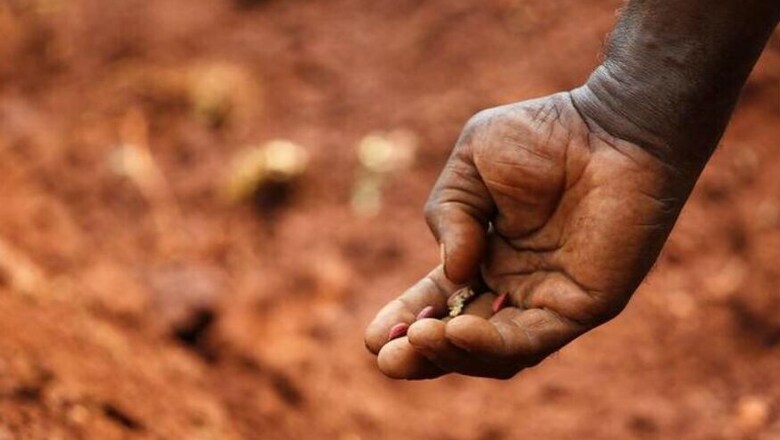 Andhra's 'War on Drought' Fails to Save Groundnut Crop