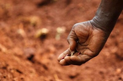 Andhra's 'War on Drought' Fails to Save Groundnut Crop