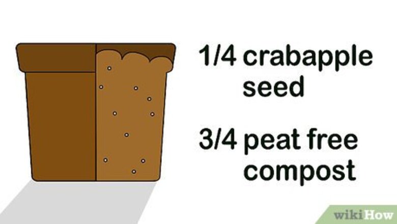 How to Grow Crabapple Trees