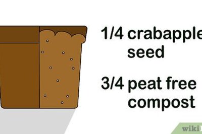 How to Grow Crabapple Trees