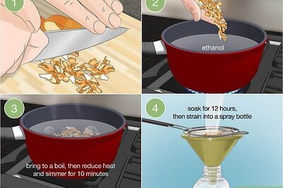 How to Keep Silverfish Away from Books Naturally