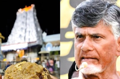 Animal Fat In Tirupati Laddu Prasadam? Karnataka Milk Federation Clarifies After Andhra CM's Allegations
