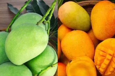 Raw Or Ripe Mango? What's Healthier For You