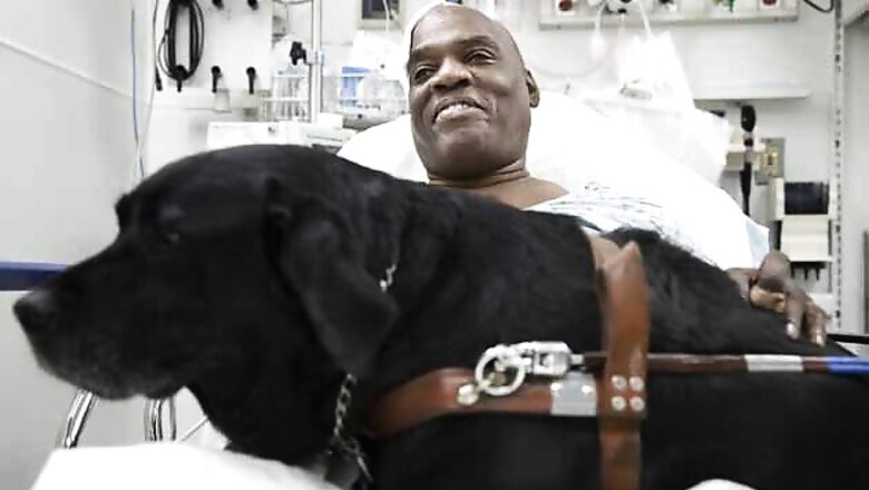 Blind man, guide dog safe after subway track fall