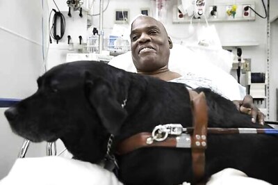 Blind man, guide dog safe after subway track fall