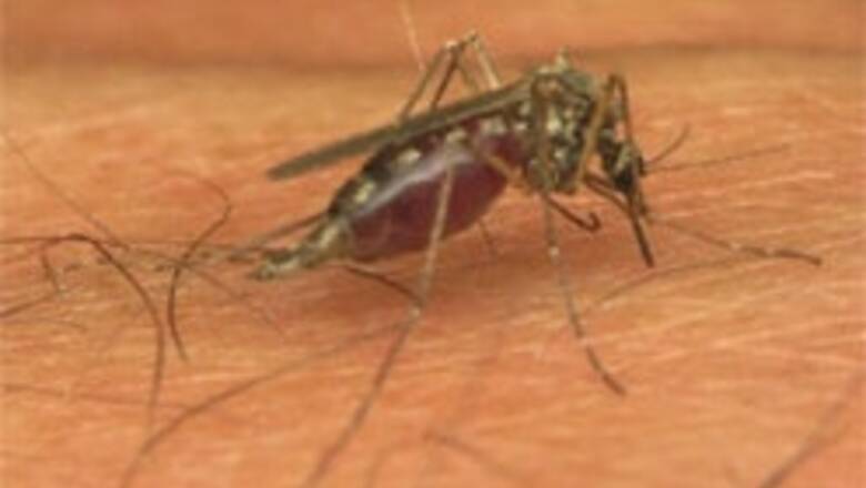 Haryana takes steps to control malaria