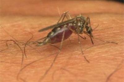Haryana takes steps to control malaria