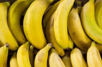 UK Authorities Seize 5.7 Tonnes Of Cocaine Hidden In Banana Crates