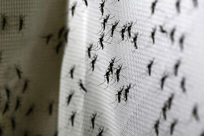 Over 1,100 Dengue Cases Reported Within 8 Days of October in Karachi