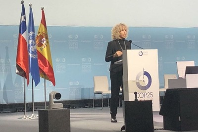 'We Are the Ones to Hold Govt Accountable': Greenpeace Chief Locked Out of UN Climate Meet Amid Protests