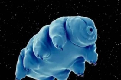 Proteins In Tardigrades Helpful For Slow Ageing If Induced In Humans: Study