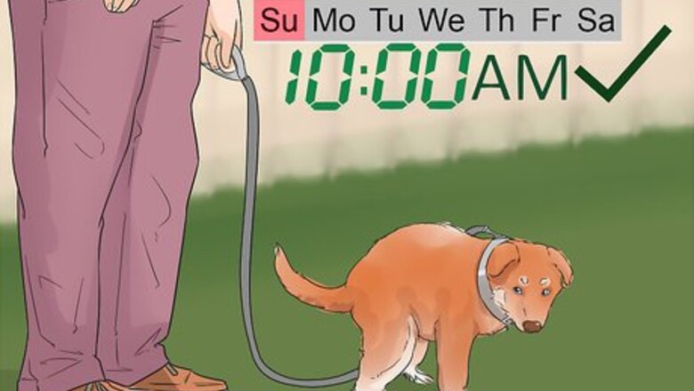 How to House Train Your Dog in Less than a Week