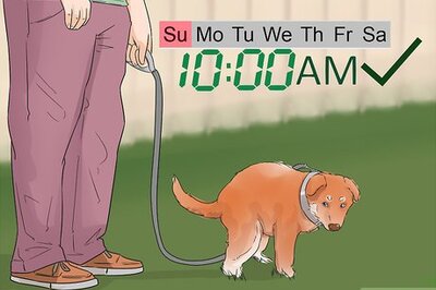 How to House Train Your Dog in Less than a Week