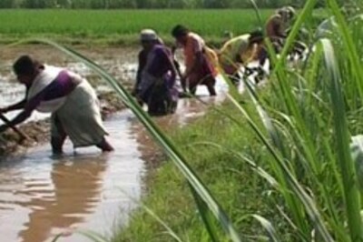 PM promises new rehab act for the displaced