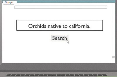 How to Grow Orchids Outside