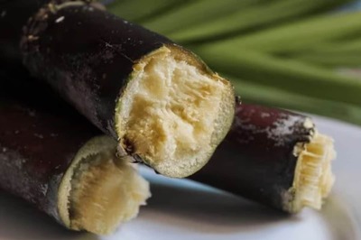 Why You Must Not Drink Water Immediately After Chewing Sugarcane