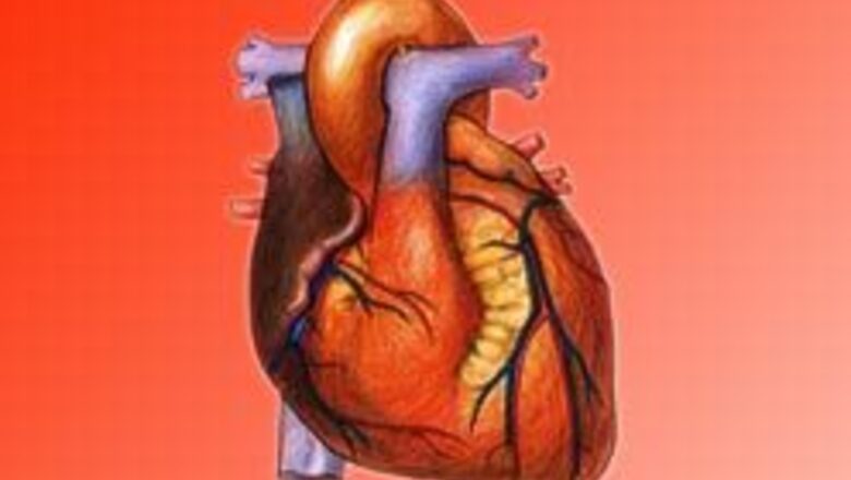 Don't fight to your hearts content!